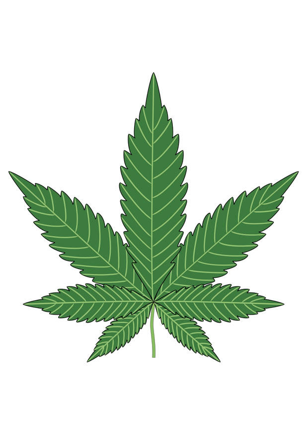 hemp Image hemp