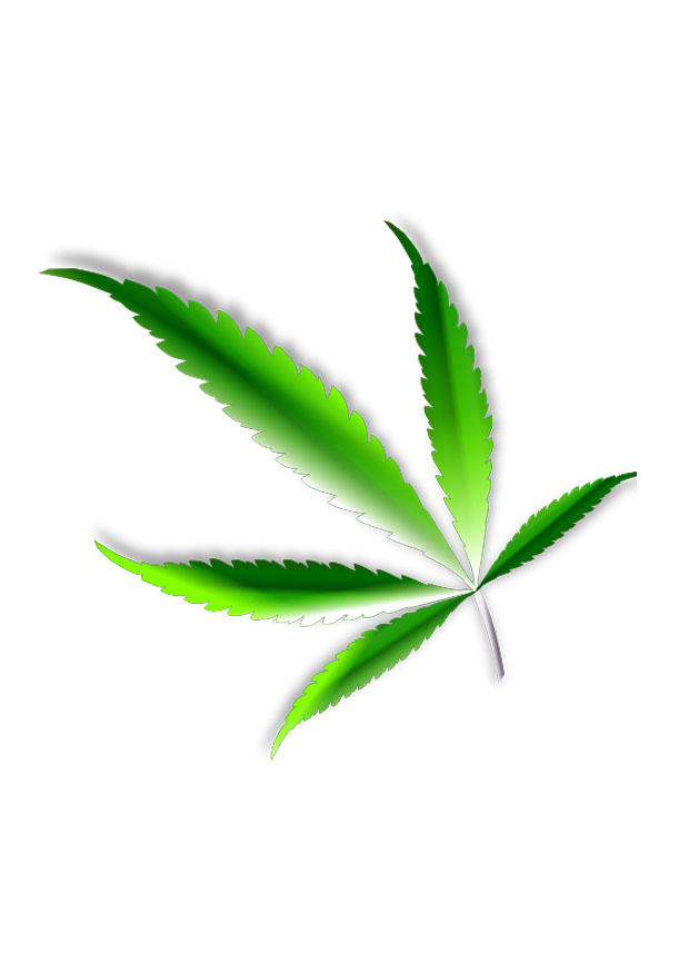 marihuana Image marihuana