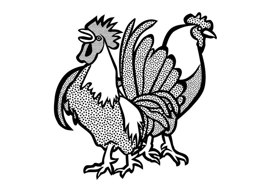 cockerel and hen Coloring page cockerel and hen