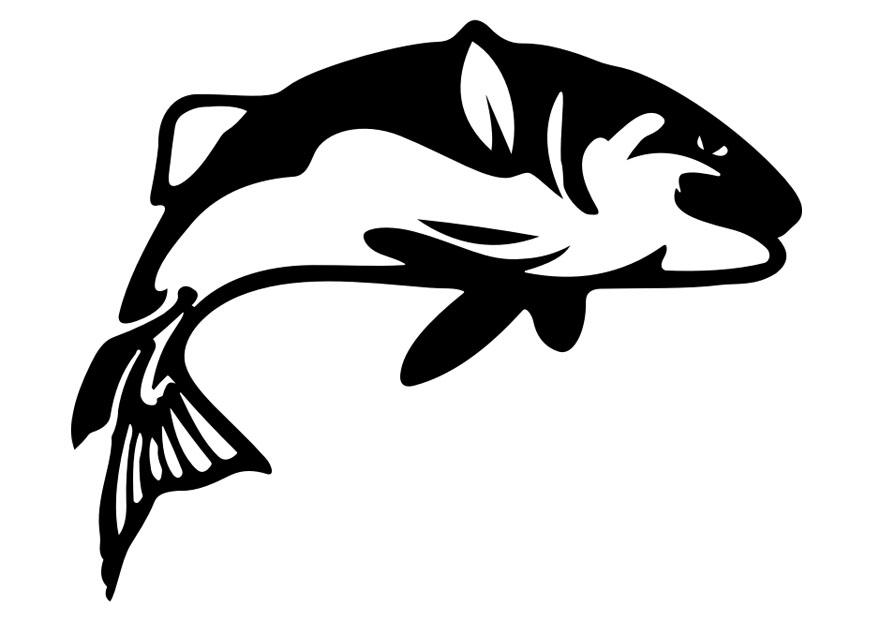 fish Coloring page fish
