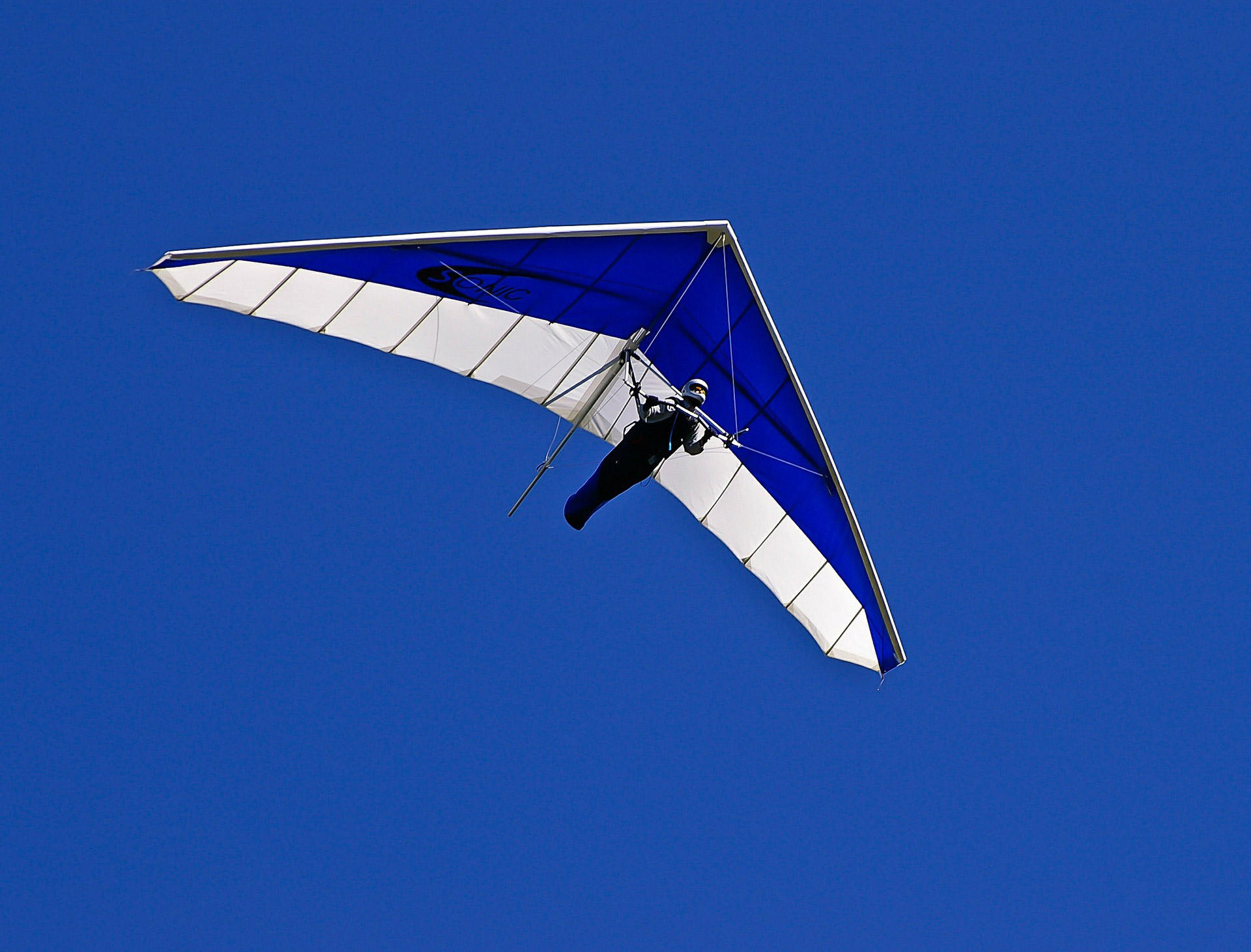 hang gliding Photo hang gliding