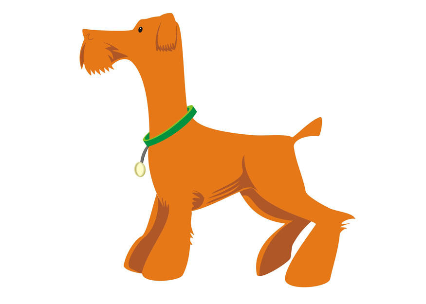 dog - to stand Image dog - to stand