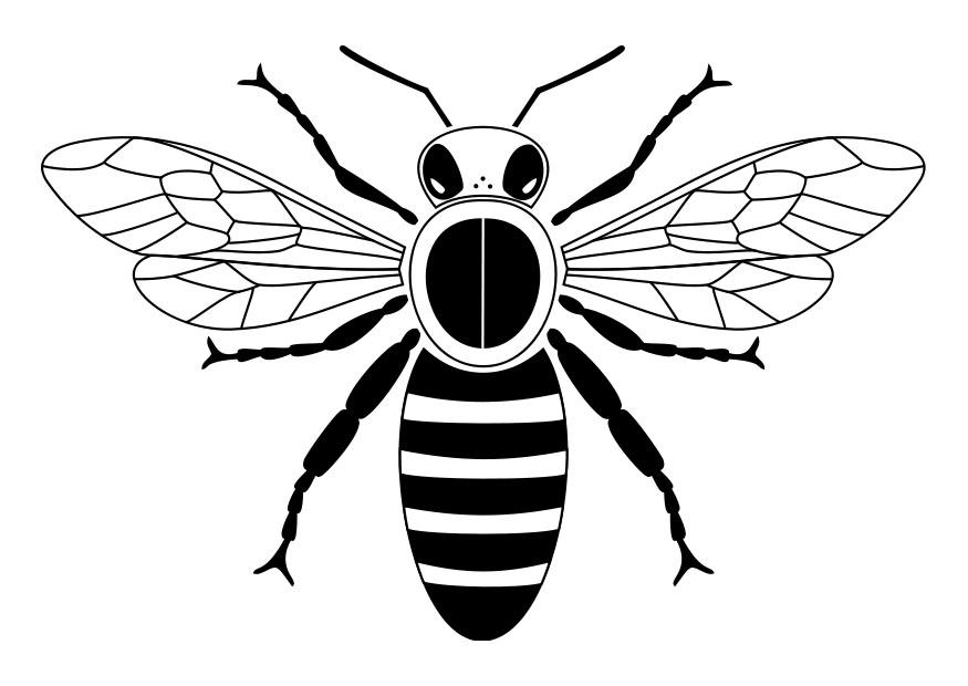Coloring page bee