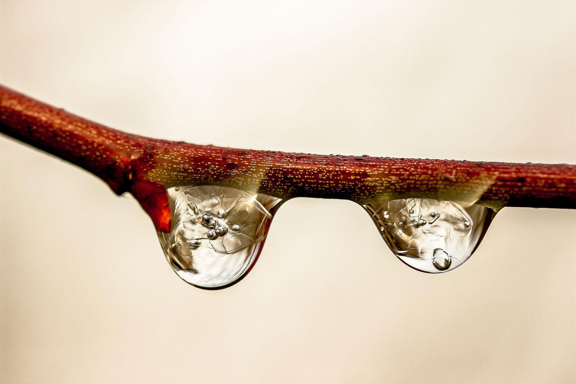 raindrops Photo raindrops