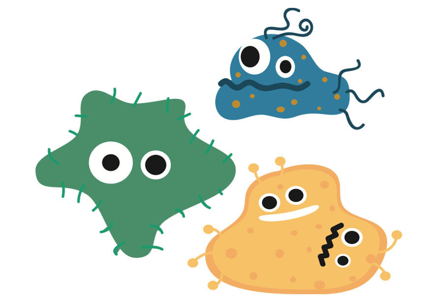 bacteria Image bacteria