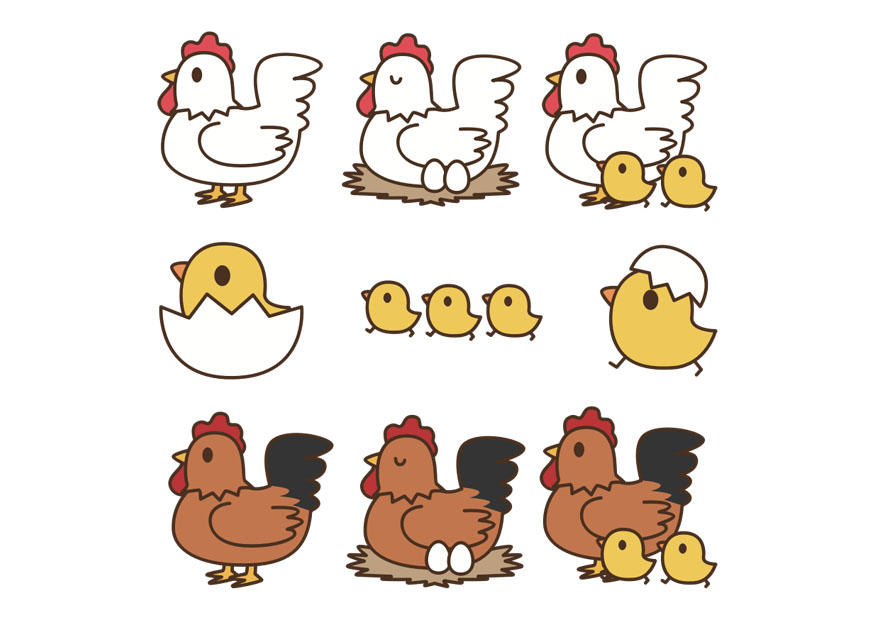 from egg to hen Image from egg to hen