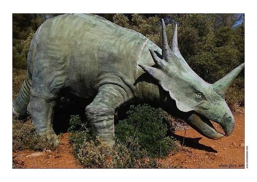 dinosaur Photo dinosaur
