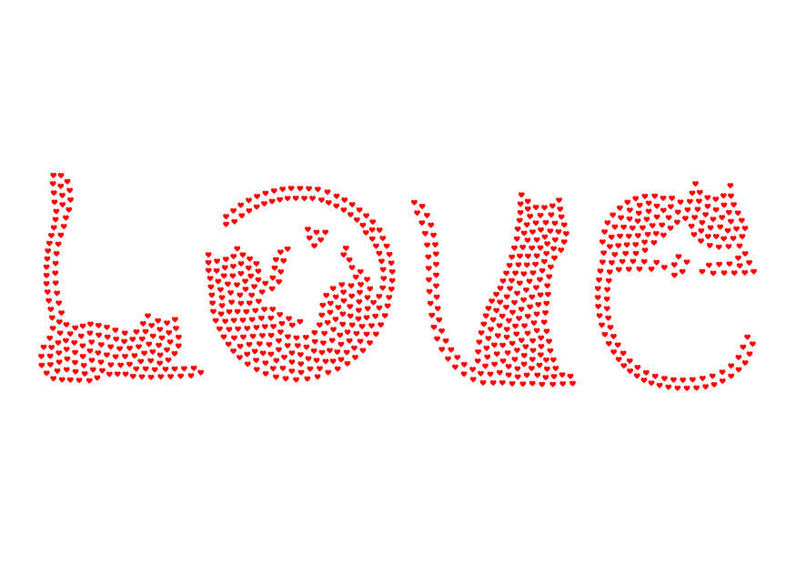 love - cats Image love - cats