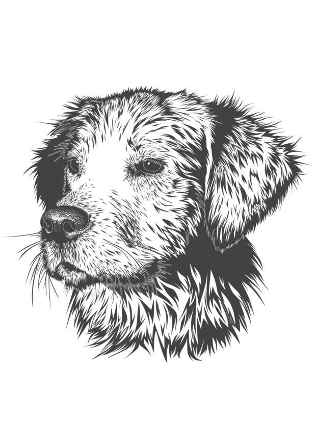 dog Coloring page dog