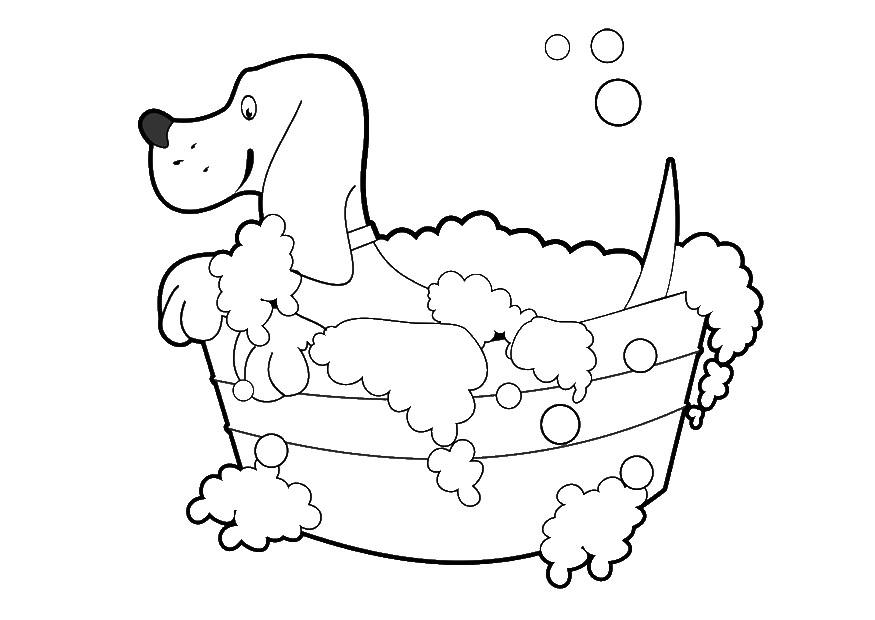 dog wash Coloring page dog wash