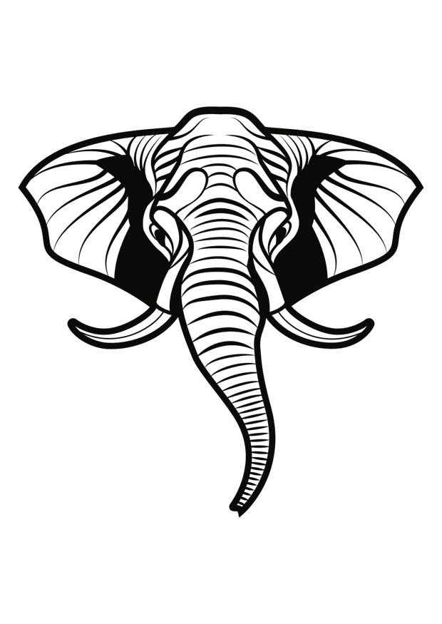 elephant Coloring page elephant