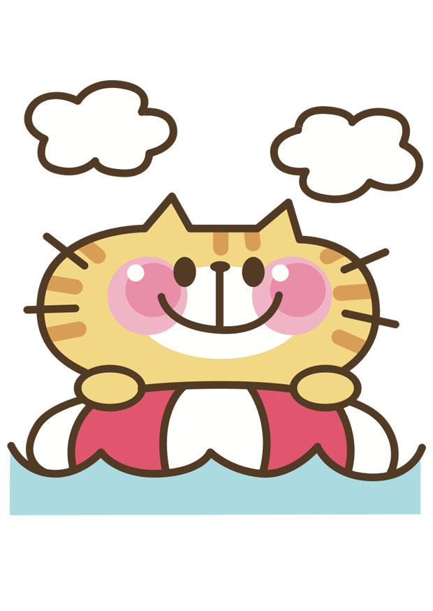 cat Image cat