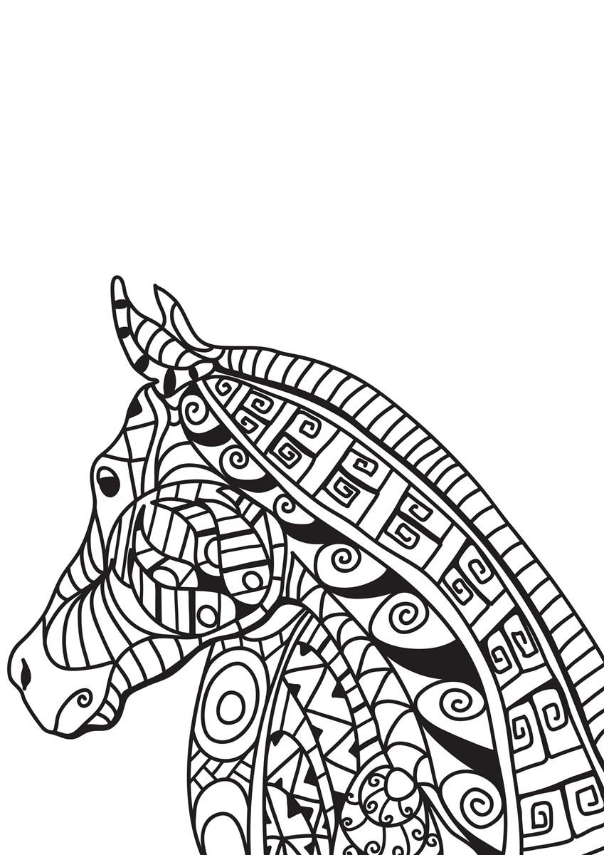 horse head Coloring page horse head