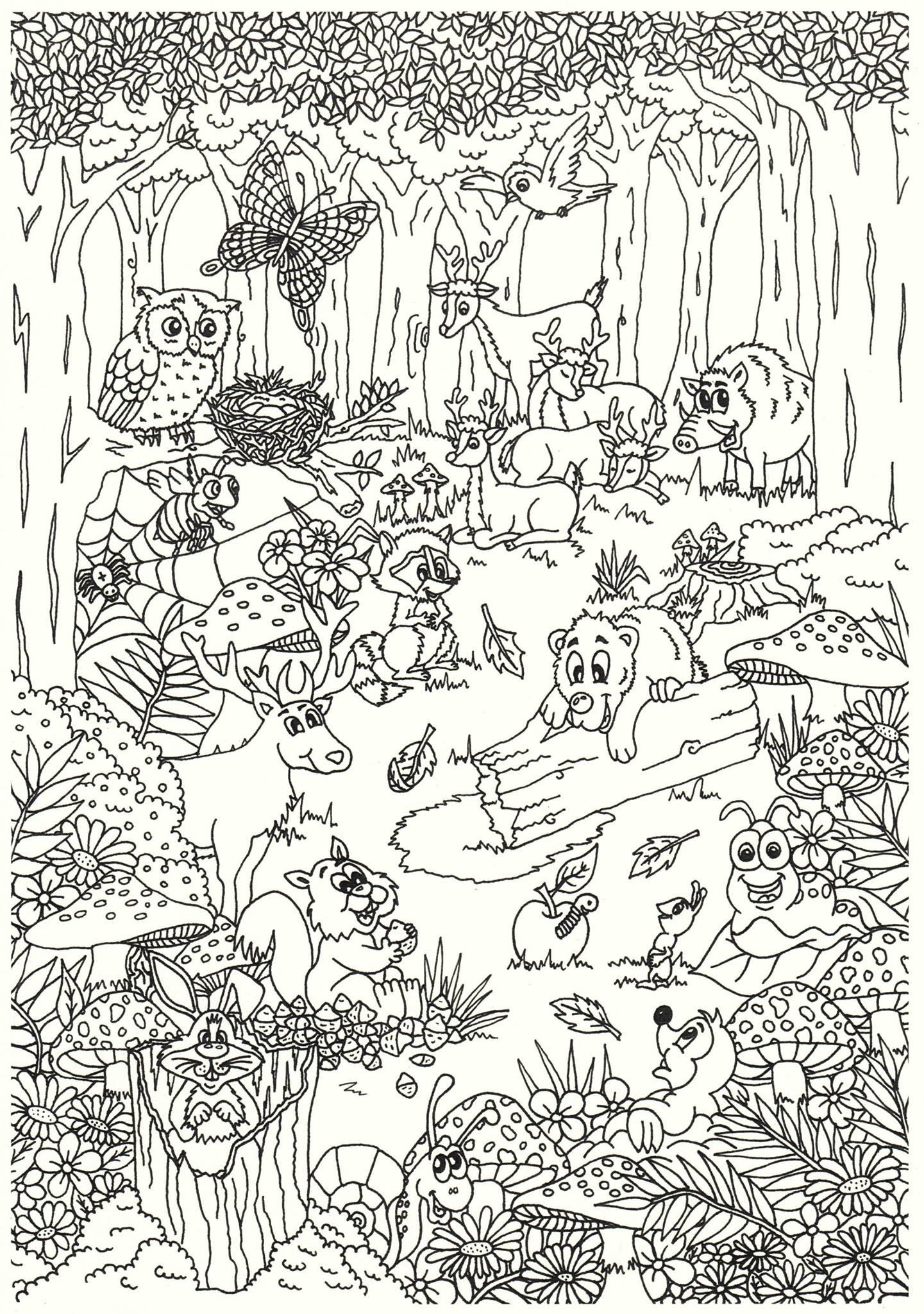 animals in the forest Coloring page animals in the forest