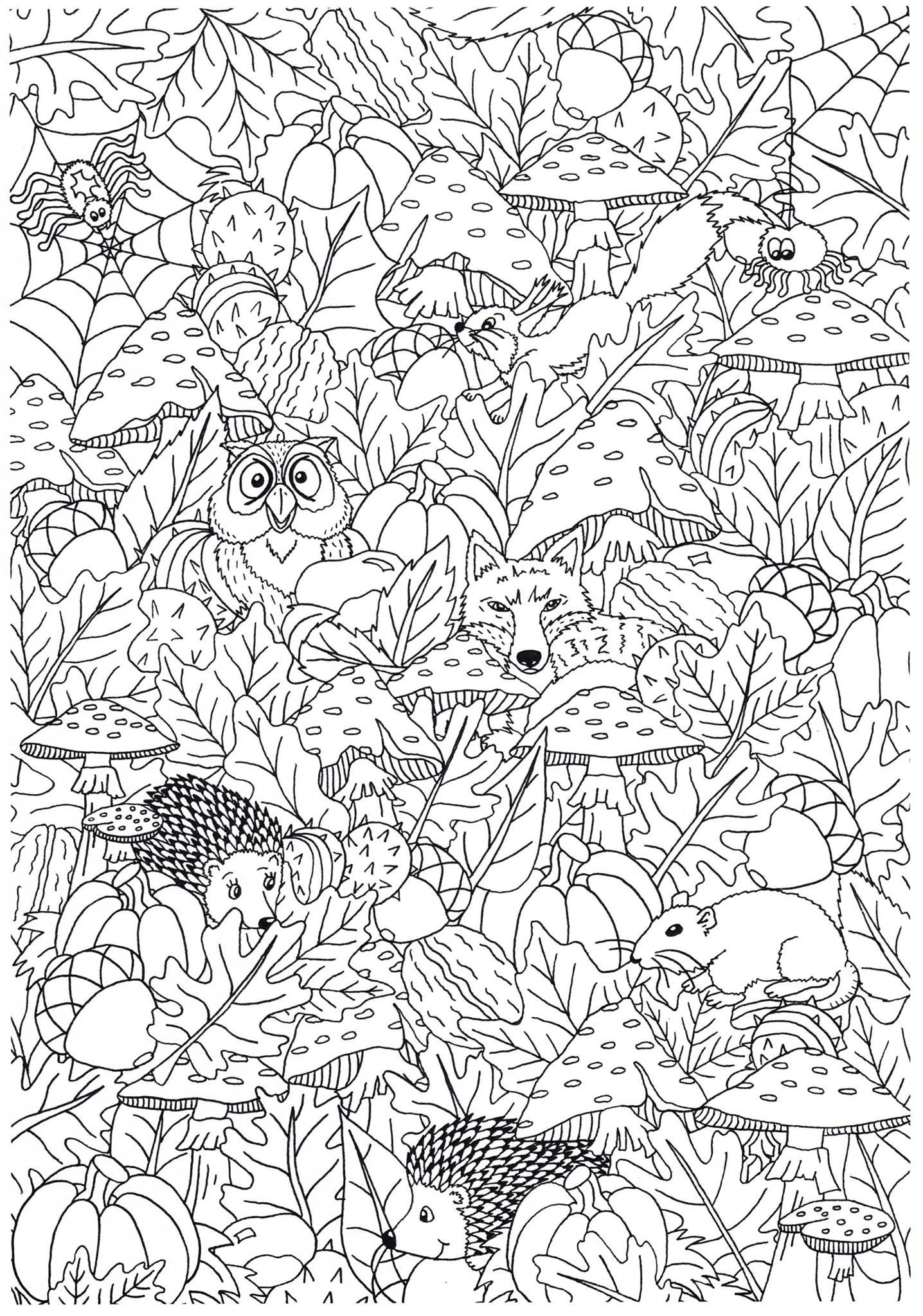 autumn in the forest Coloring page autumn in the forest