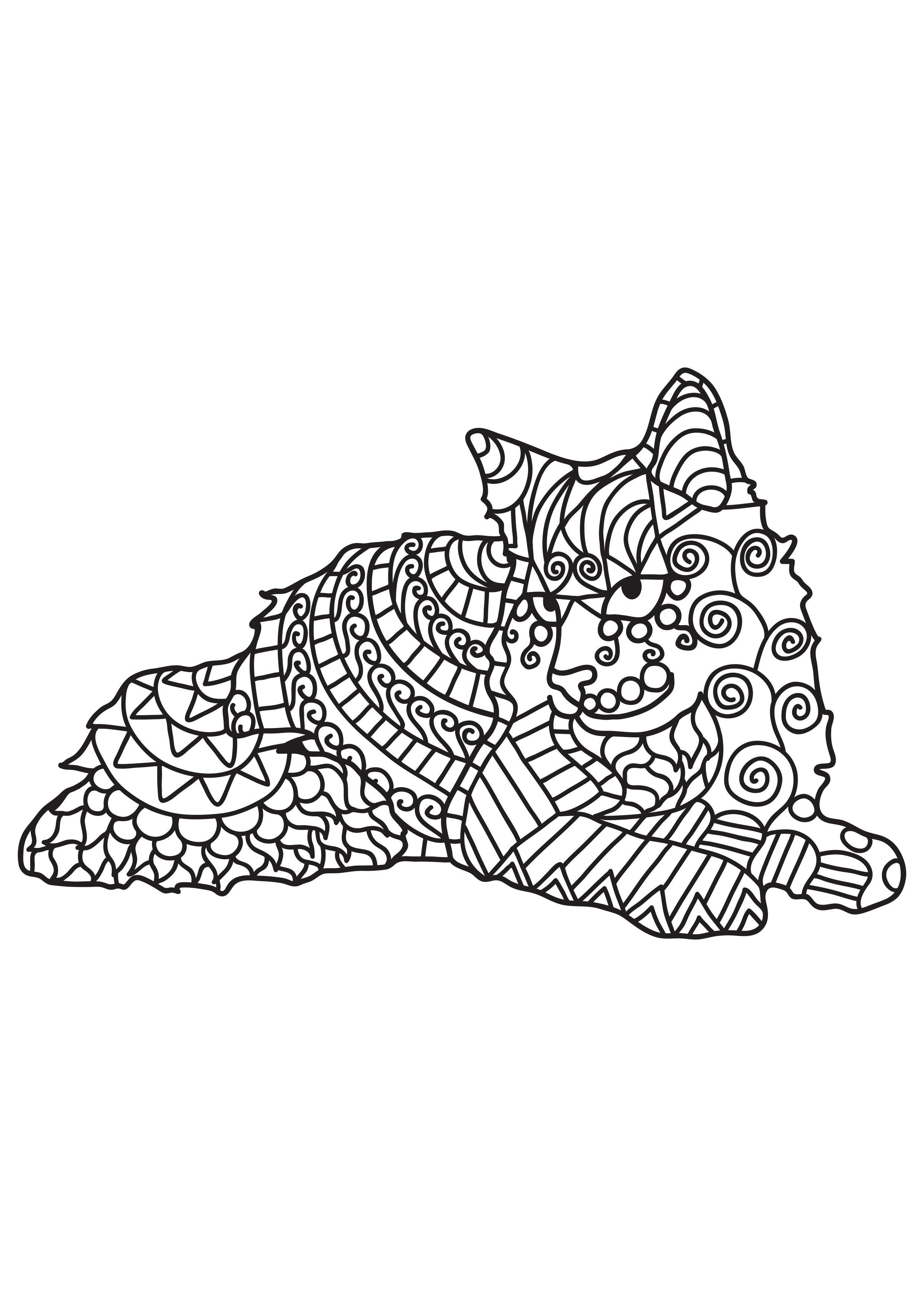 cat is resting Coloring page cat is resting