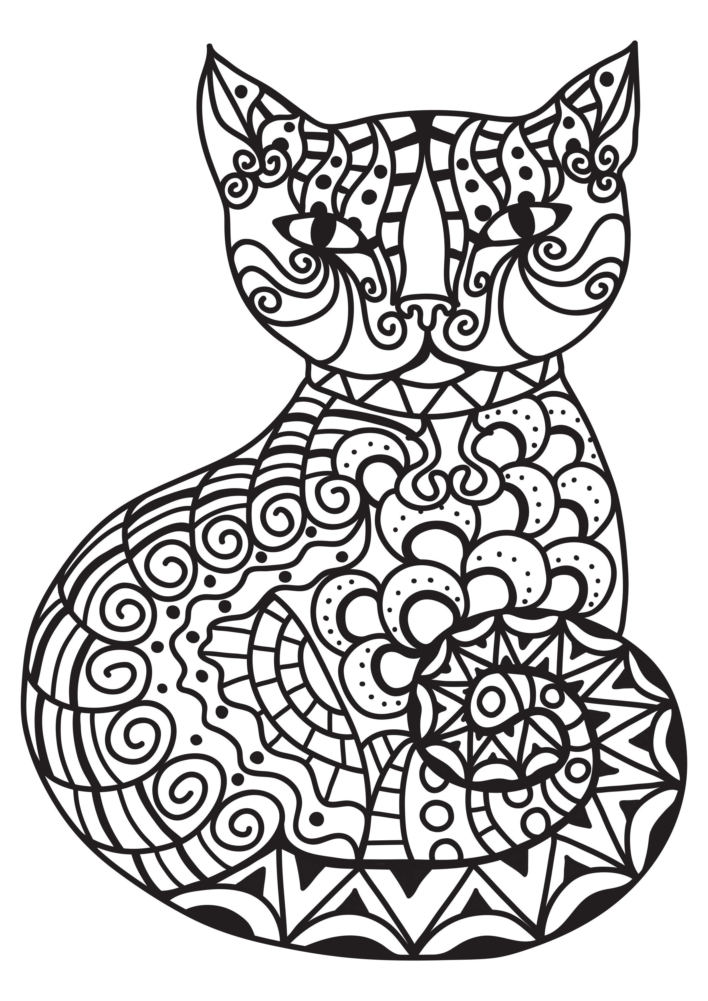 cat Coloring page cat