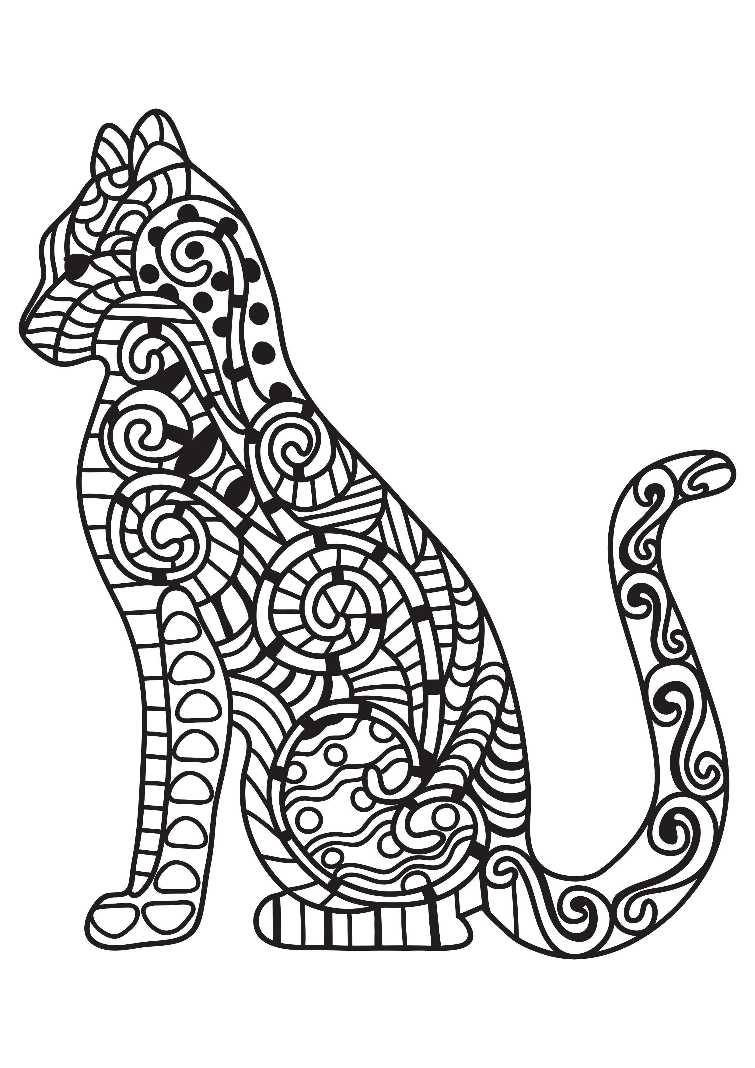 cat Coloring page cat