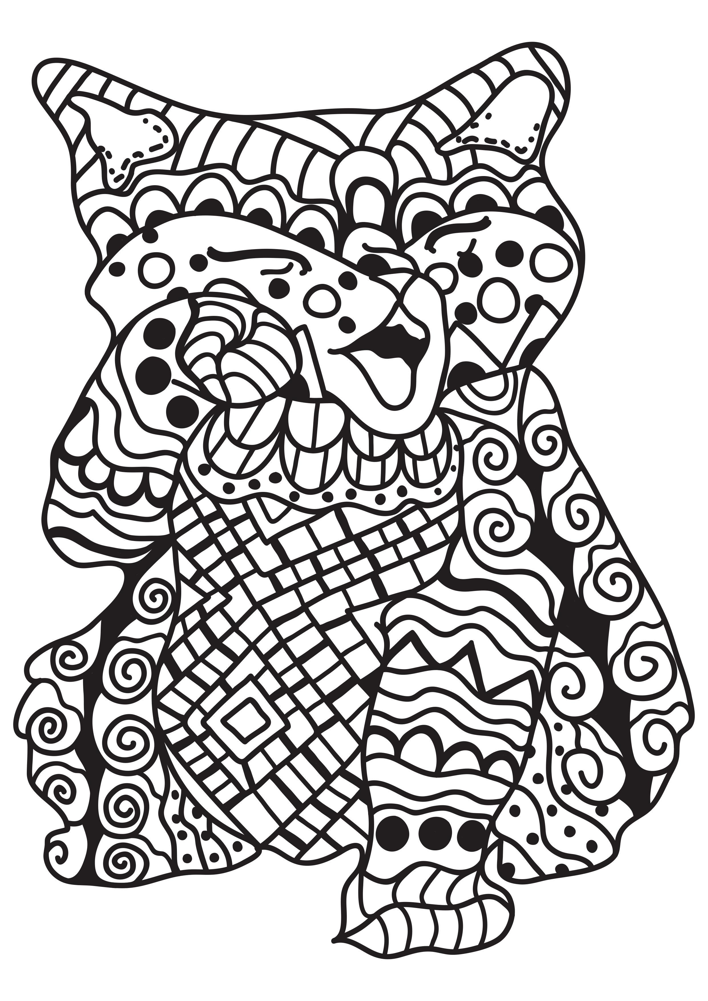 cat Coloring page cat