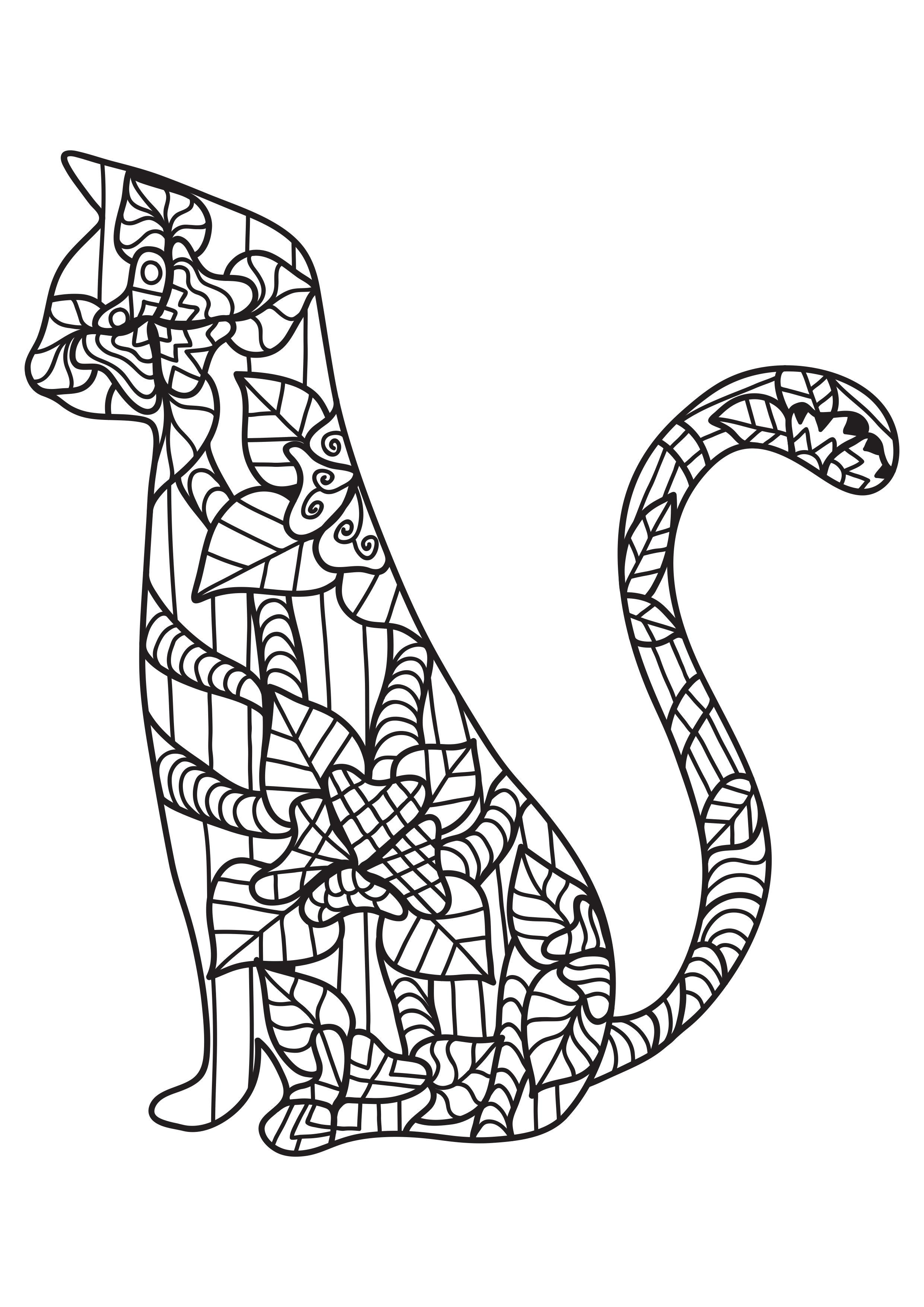 cat Coloring page cat