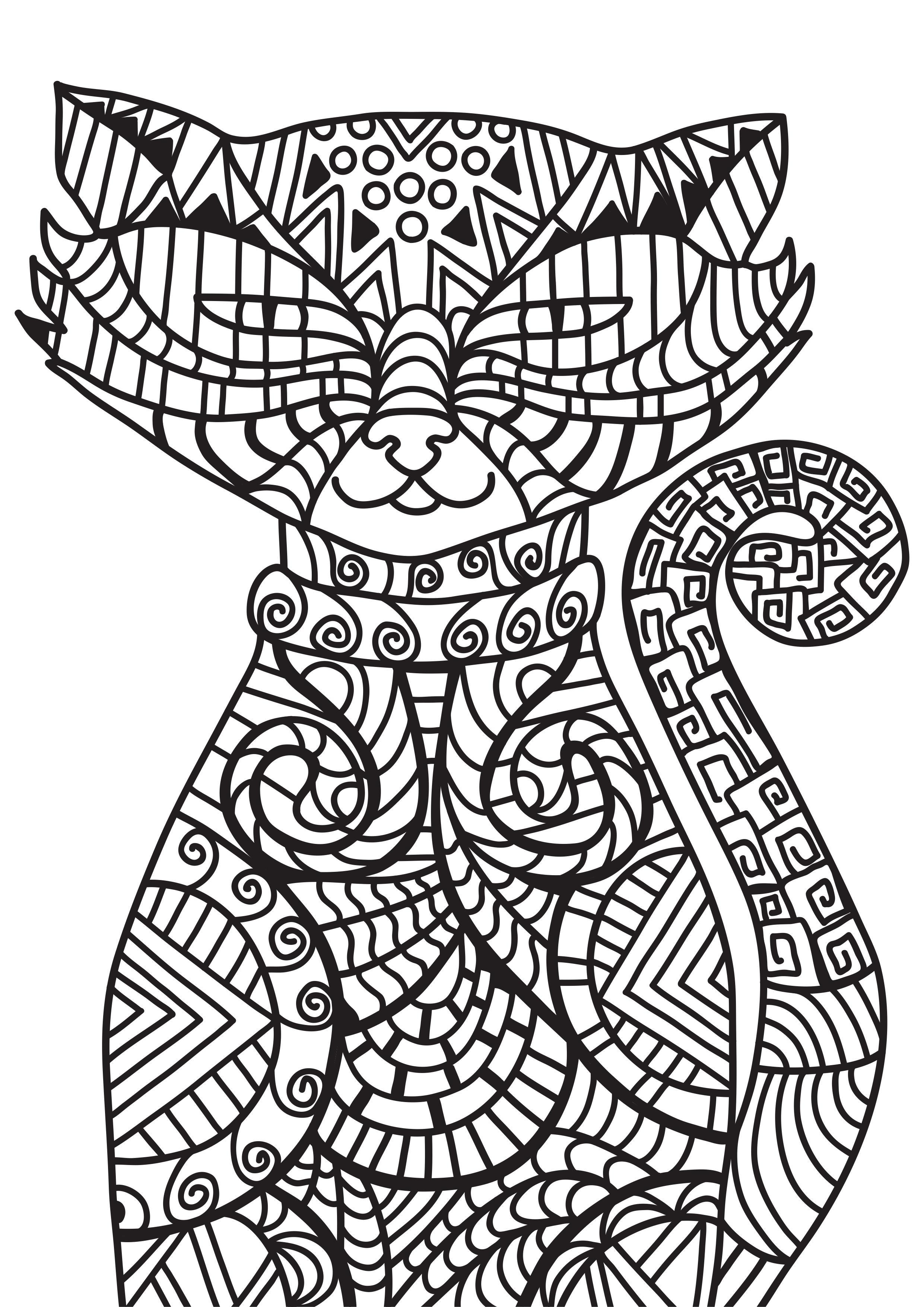 cat Coloring page cat