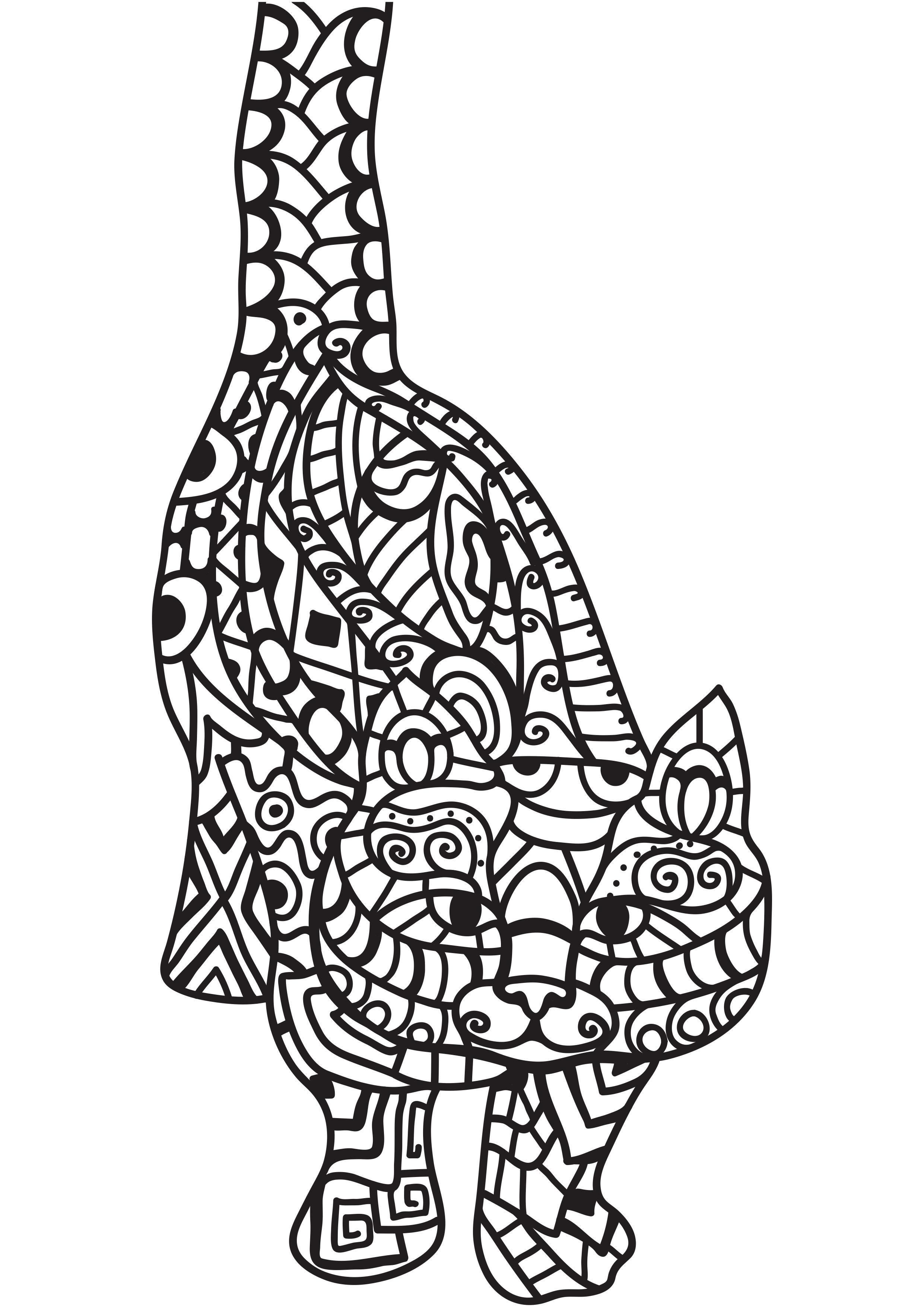 cat Coloring page cat