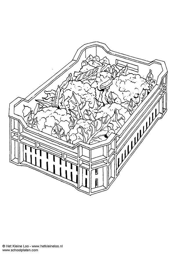cauliflower Coloring page cauliflower