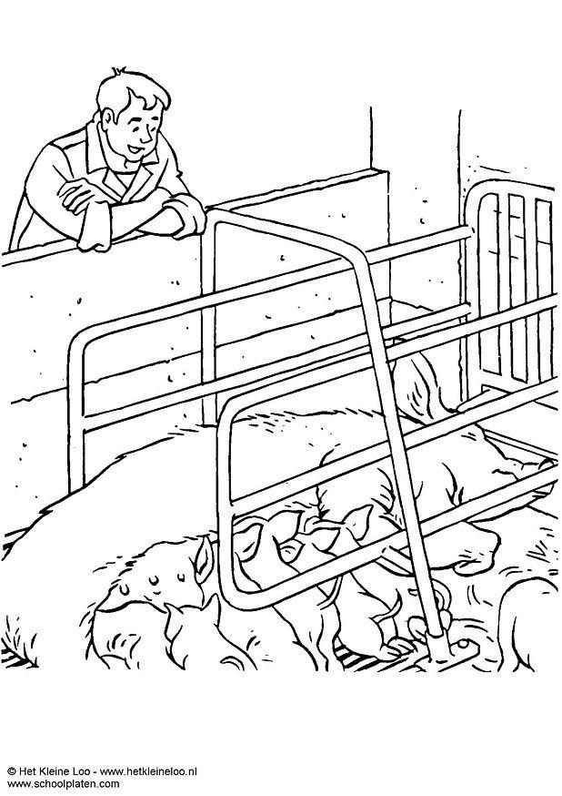 sow with piglets Coloring page sow with piglets