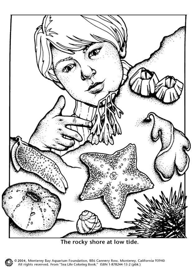 sea shore low tide Coloring page sea shore low tide