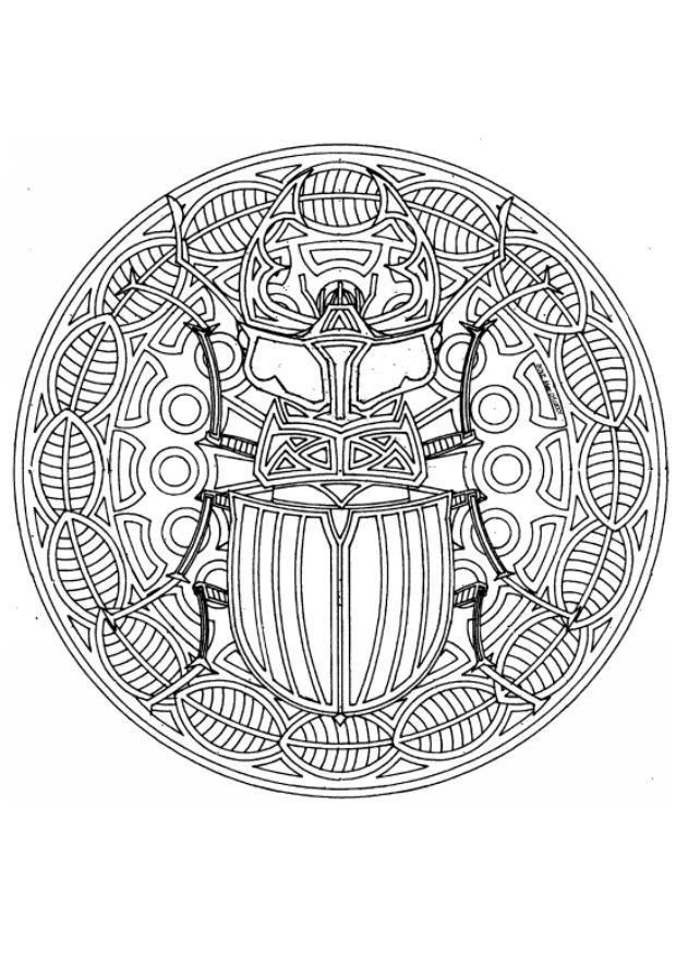 beetle mandala Coloring page beetle mandala