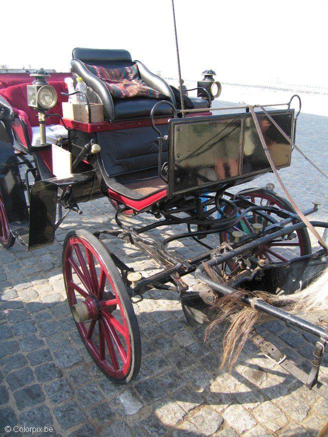 carriage 2 Photo carriage 2