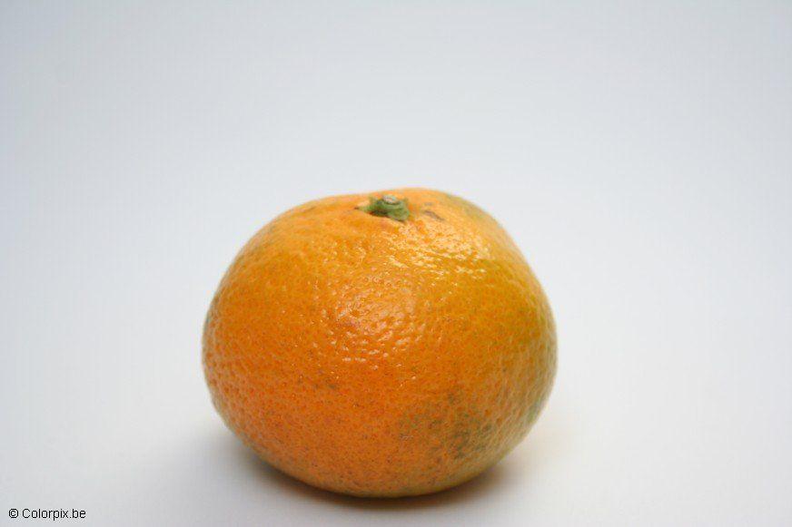 mandarin Photo mandarin