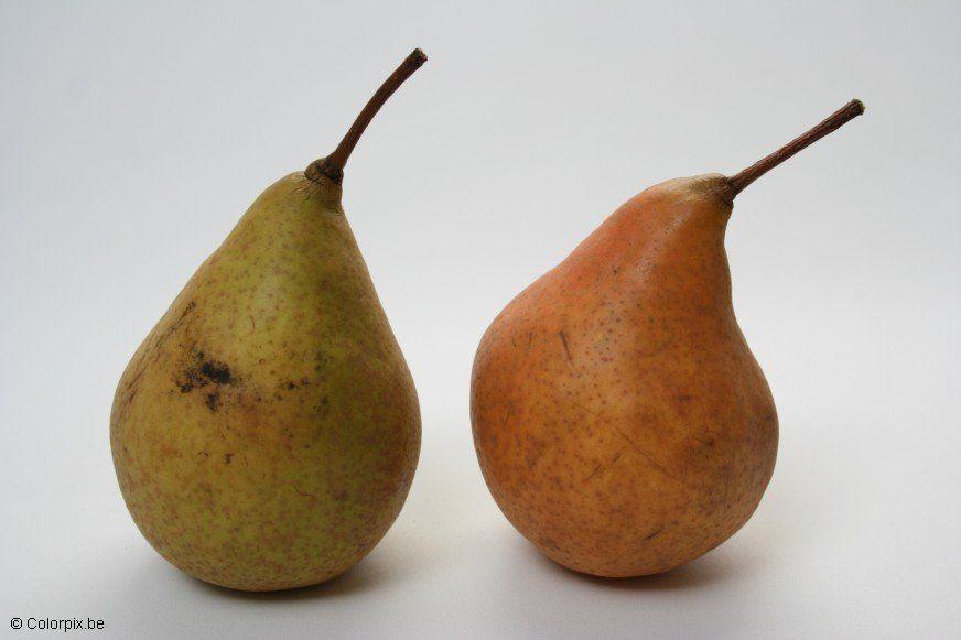 pears Photo pears