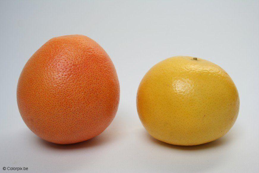 grapefruits Photo grapefruits