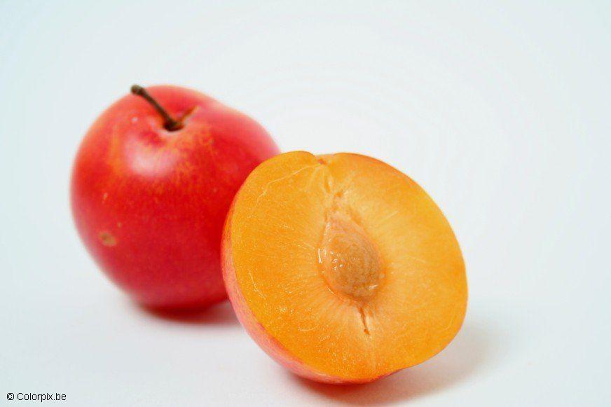 plums Photo plums
