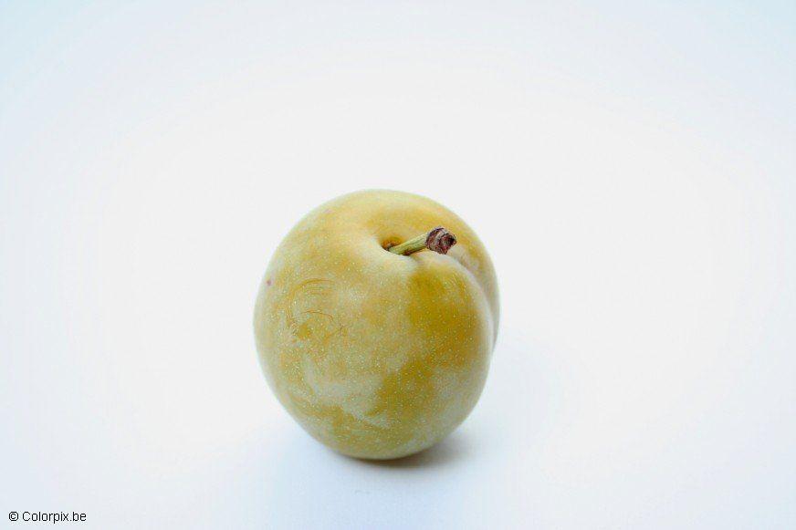 greengage plum Photo greengage plum