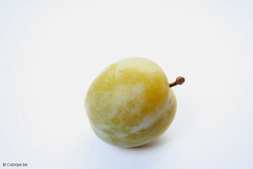 greengage plum Photo greengage plum