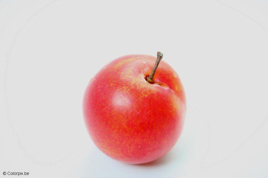 Photo red plum