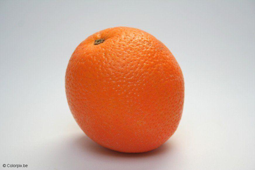 orange Photo orange