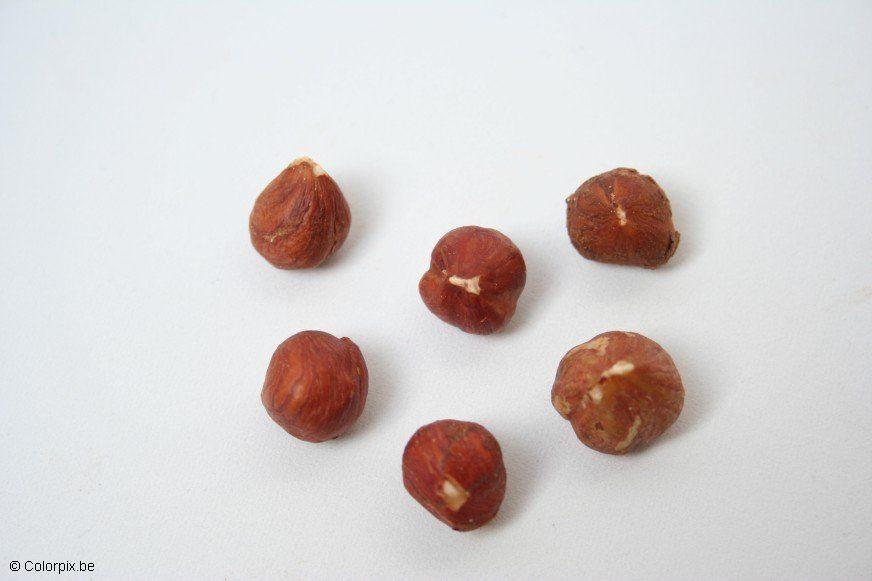 Photo hazelnuts