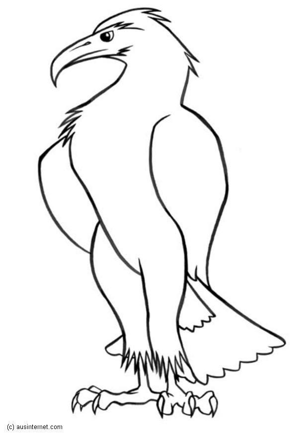 eagle Coloring page eagle