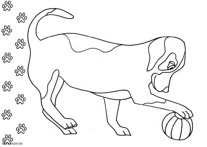 dog Coloring page dog