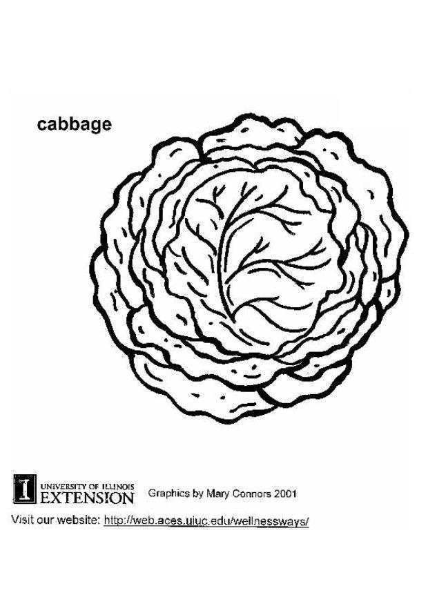 cabbage Coloring page cabbage