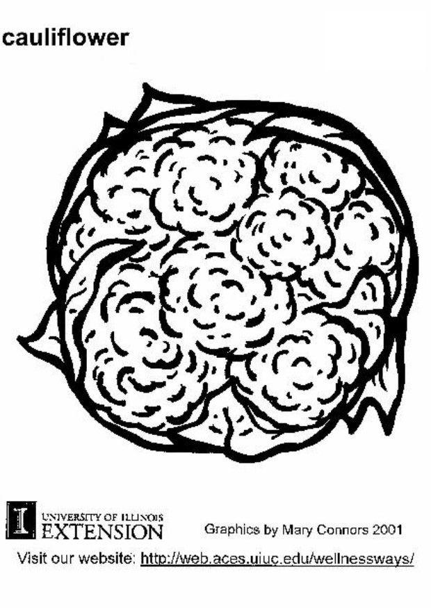 cauliflower Coloring page cauliflower
