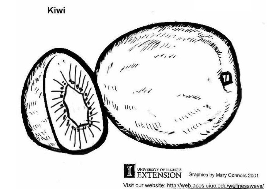 kiwi Coloring page kiwi