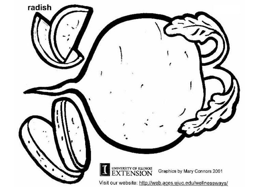 radish Coloring page radish