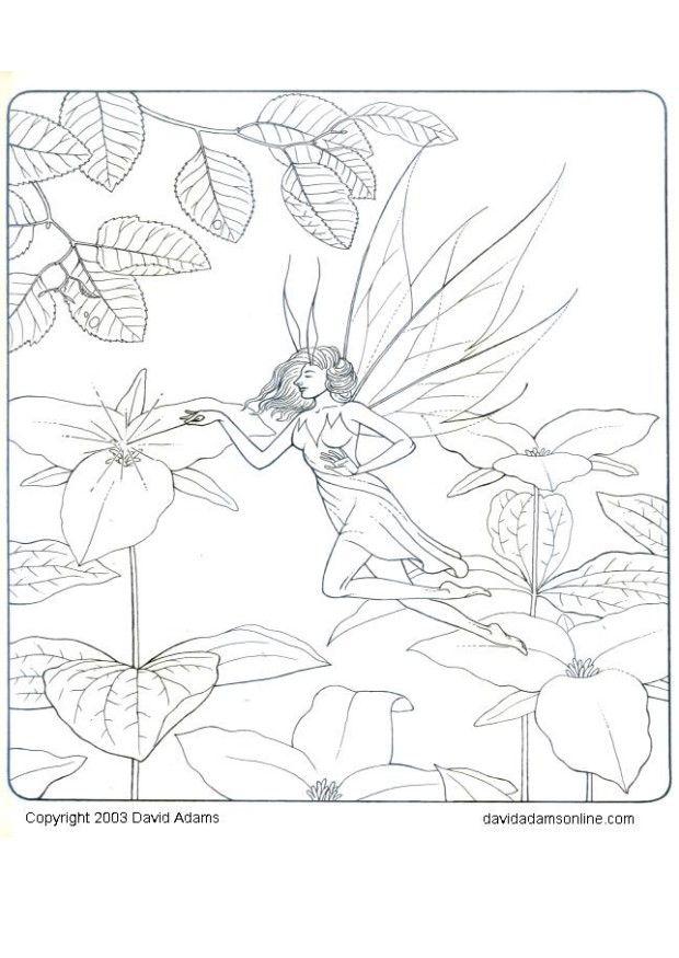 Coloring page fairy