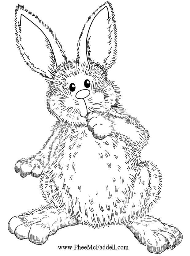 Coloring page easter rabbit