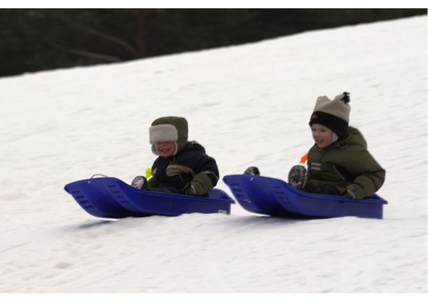 children on the sled Photo children on the sled