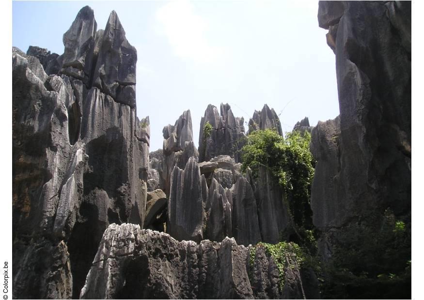 petrified forest, kunming 2 Photo petrified forest, kunming 2